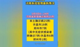 河南时事爆料最新消息新闻,聚焦民生热点，揭秘社会现象